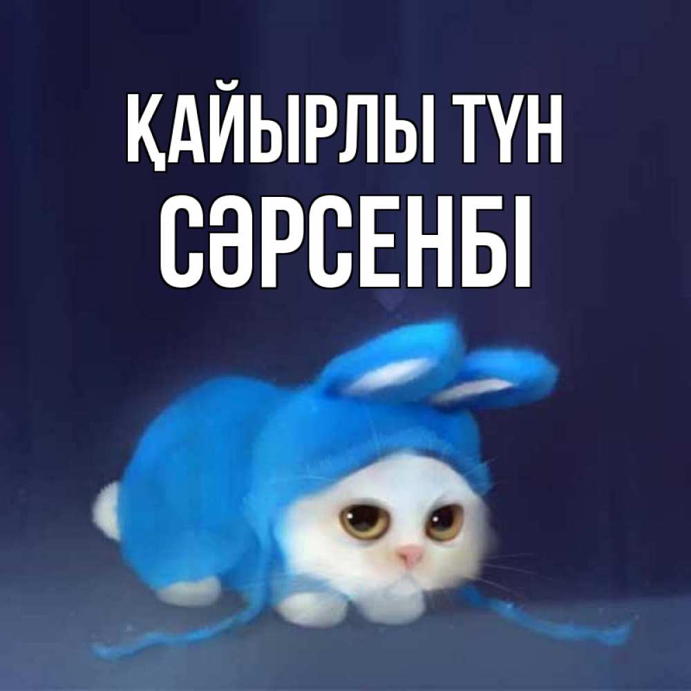 Күн сайын ашық хат с именем, СӘРСЕНБІ Қайырлы түн кот в голубом костюме кролика с ушками Онлайн тегін жүктеп алу тілектері бар керемет карта 
