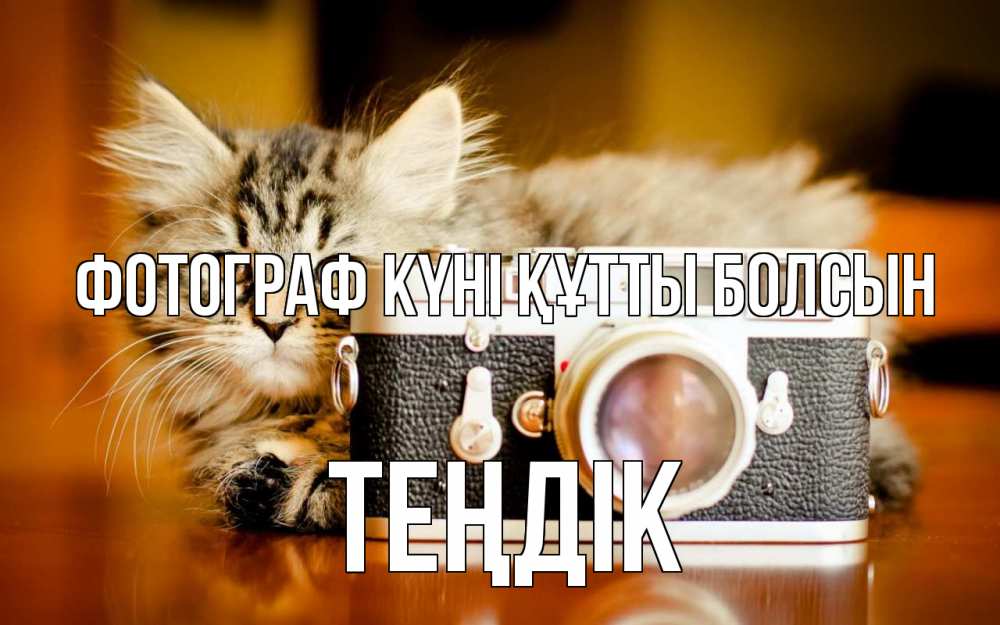 Күн сайын ашық хат с именем, ТЕҢДІК Фотограф күні құтты болсын с днем фотографа Онлайн тегін жүктеп алу тілектері бар керемет карта 