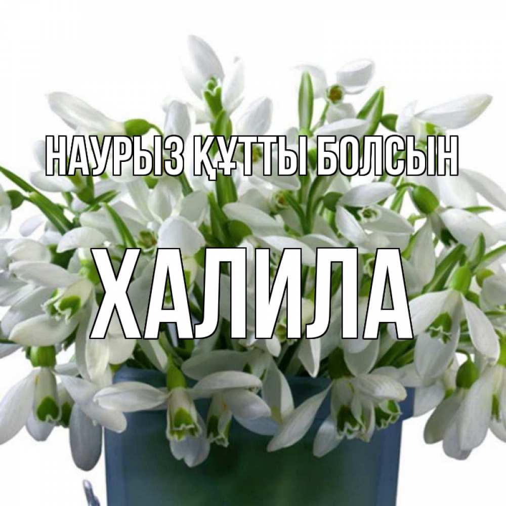 Күн сайын ашық хат с именем, ХАЛИЛА Наурыз құтты болсын цветы к наурызу Онлайн тегін жүктеп алу тілектері бар керемет карта 