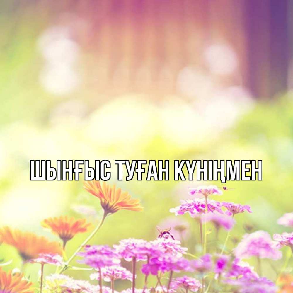 Күн сайын ашық хат с именем, ШЫНҒЫС-ТУҒАН-КҮНІҢМЕН Главная цветы весна Онлайн тегін жүктеп алу тілектері бар керемет карта 
