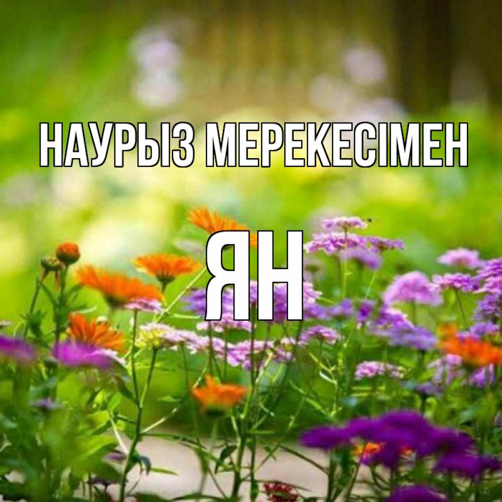 Күн сайын ашық хат с именем, Ян Наурыз мерекесімен цветы Онлайн тегін жүктеп алу тілектері бар керемет карта 