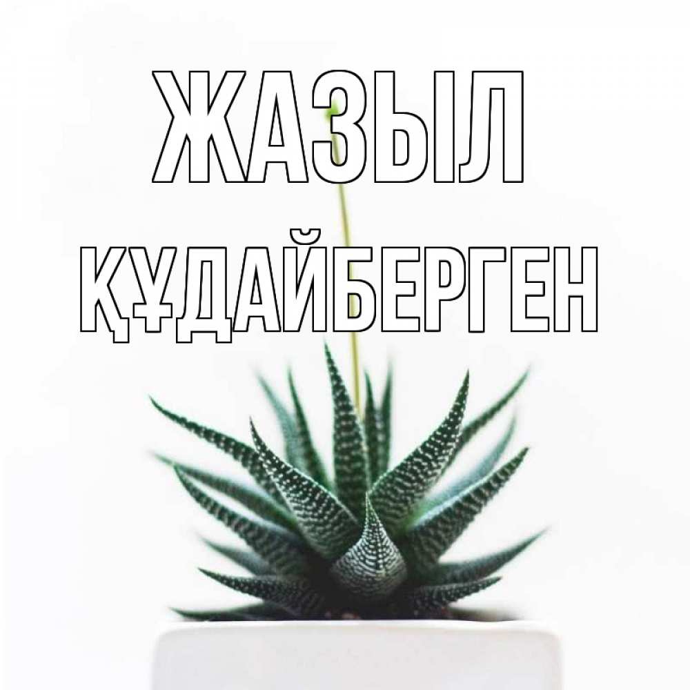 Күн сайын ашық хат с именем, ҚҰДАЙБЕРГЕН Жазыл короче это непонятная колючка Онлайн тегін жүктеп алу тілектері бар керемет карта 