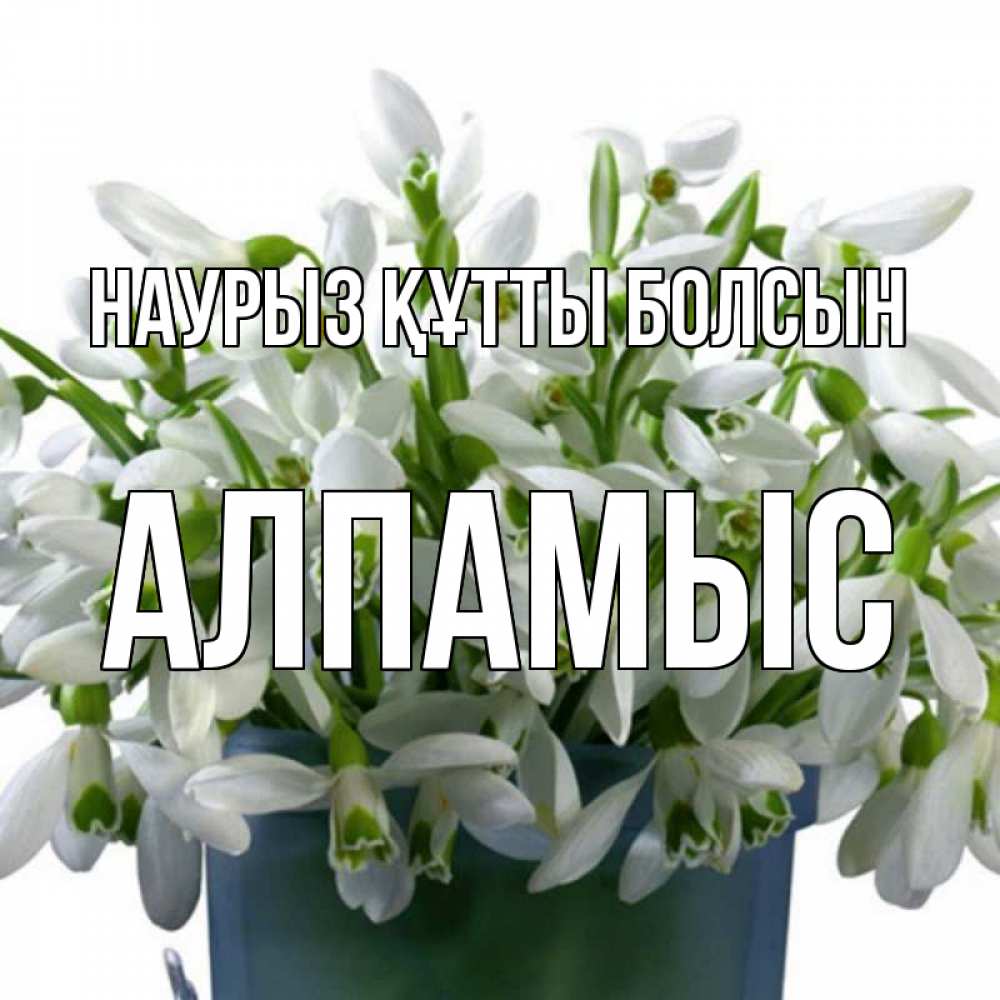 Күн сайын ашық хат с именем, Алпамыс Наурыз құтты болсын цветы к наурызу Онлайн тегін жүктеп алу тілектері бар керемет карта 