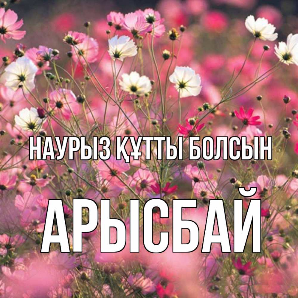 Күн сайын ашық хат с именем, Арысбай Наурыз құтты болсын красиво 1 Онлайн тегін жүктеп алу тілектері бар керемет карта 