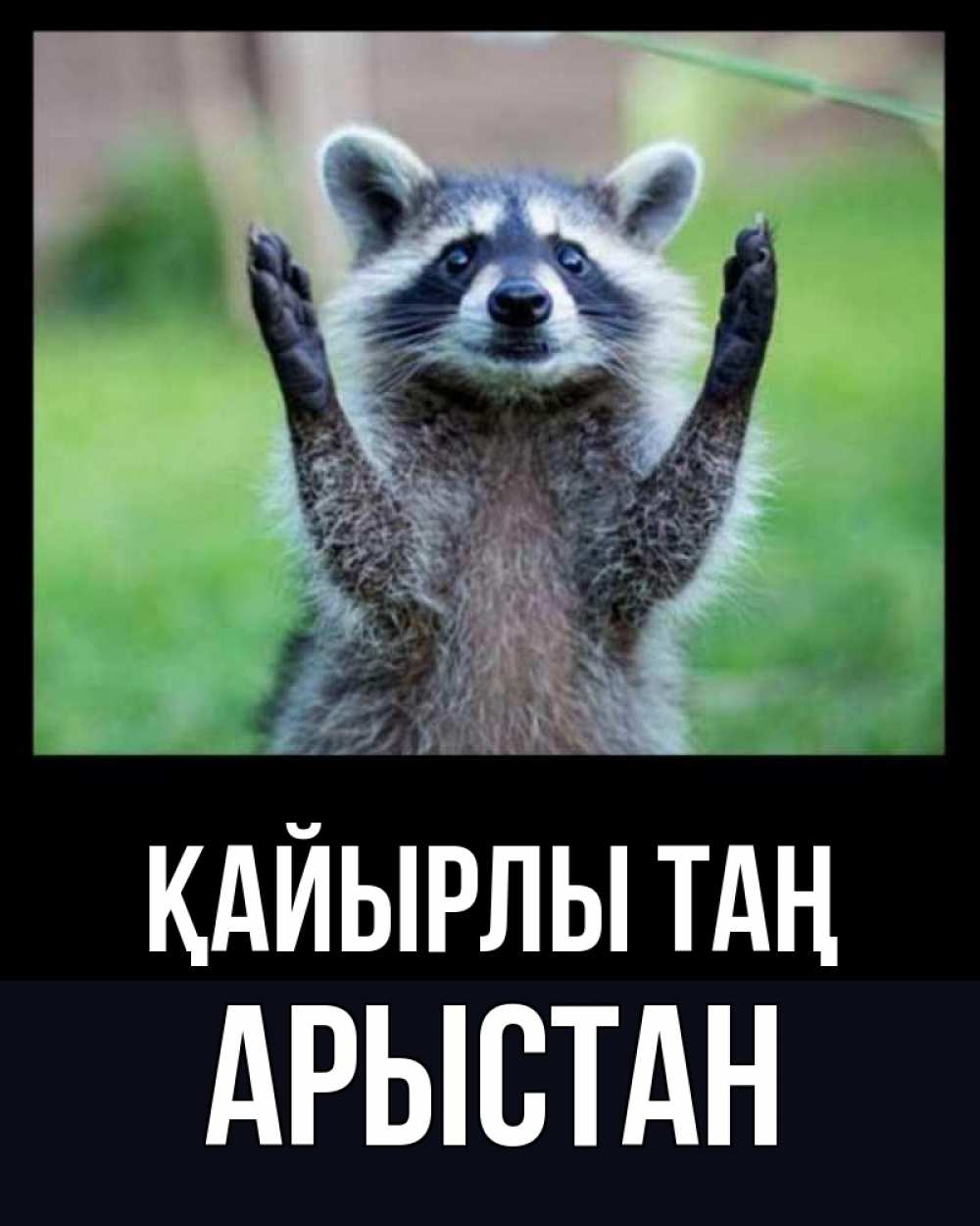 Күн сайын ашық хат с именем, Арыстан Қайырлы таң хорошее настроение утречком Онлайн тегін жүктеп алу тілектері бар керемет карта 