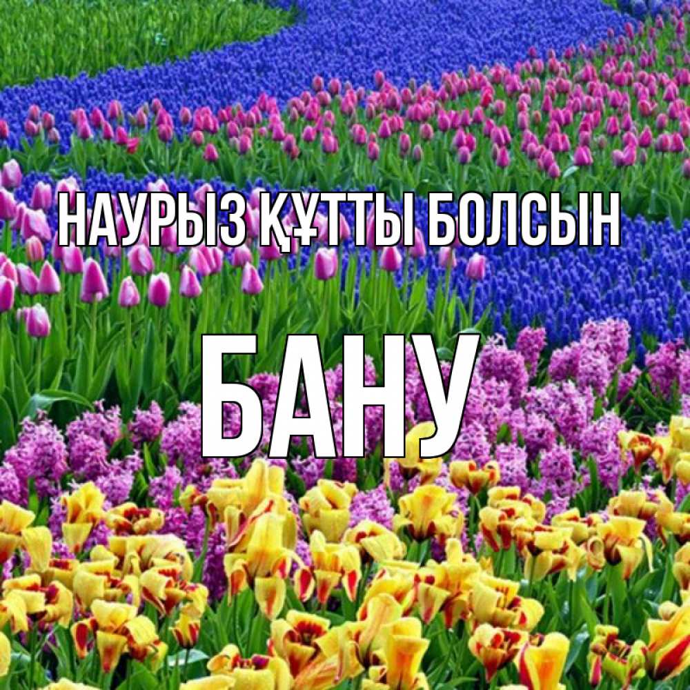 Күн сайын ашық хат с именем, БАНУ Наурыз құтты болсын цветы Онлайн тегін жүктеп алу тілектері бар керемет карта 
