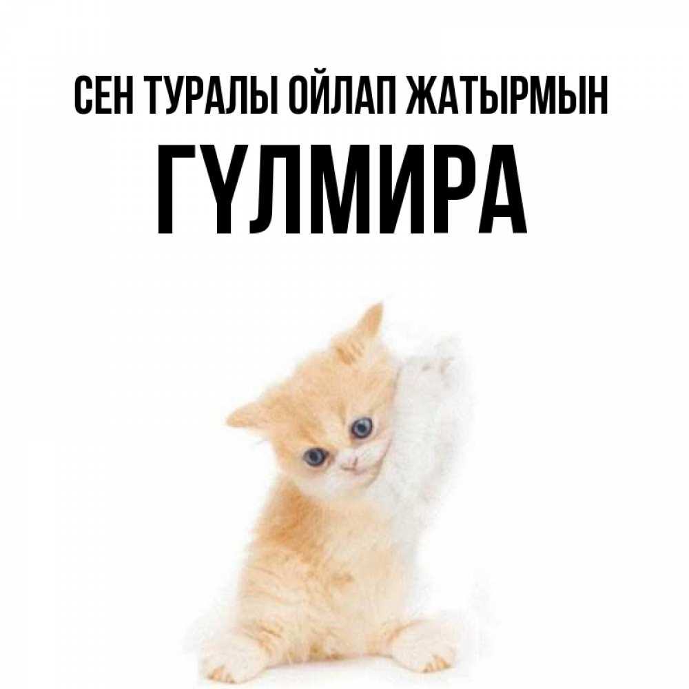 Күн сайын ашық хат с именем, ГҮЛМИРА Сен туралы ойлап жатырмын зверушки и милота Онлайн тегін жүктеп алу тілектері бар керемет карта 