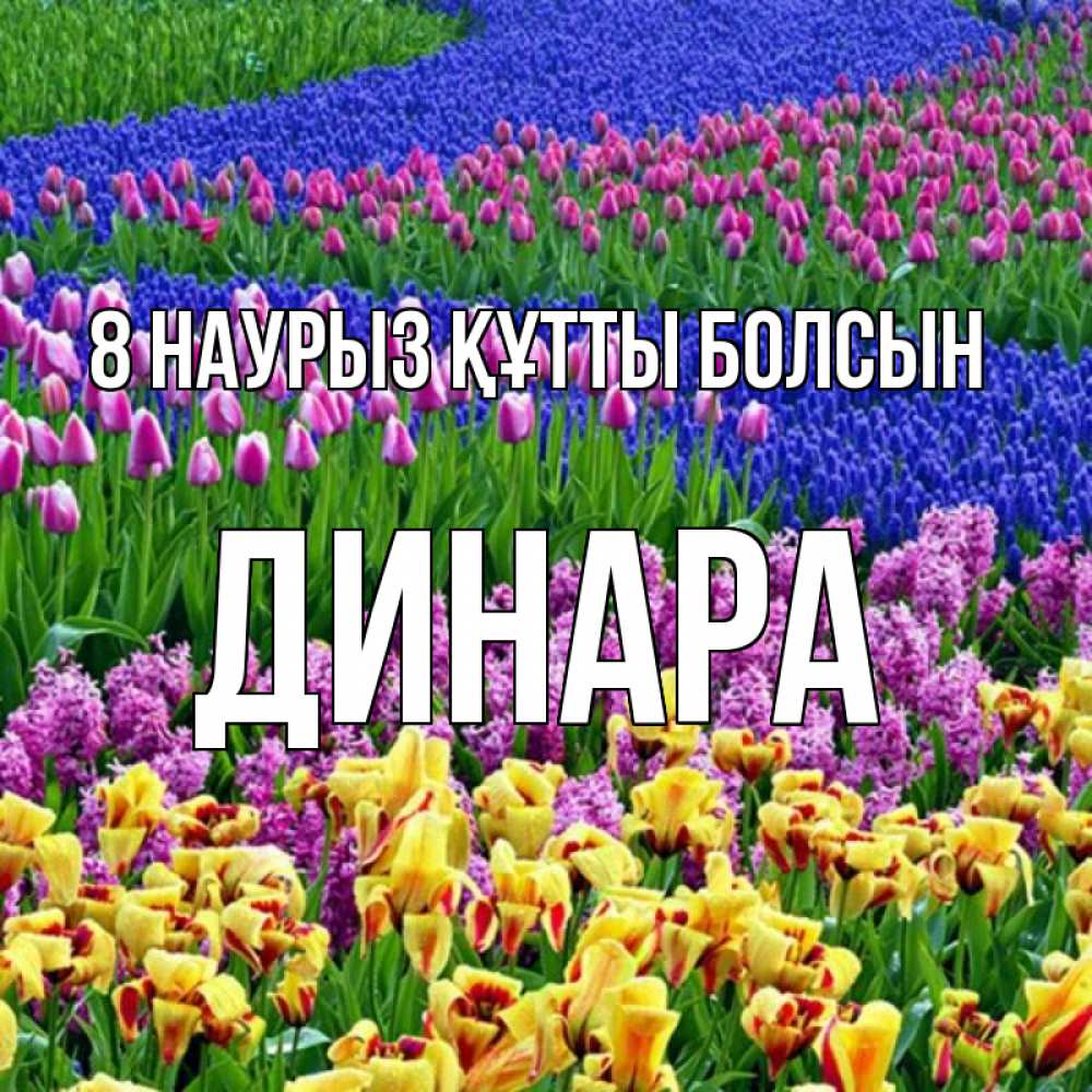 Күн сайын ашық хат с именем, ДИНАРА 8 наурыз құтты болсын цветы Онлайн тегін жүктеп алу тілектері бар керемет карта 