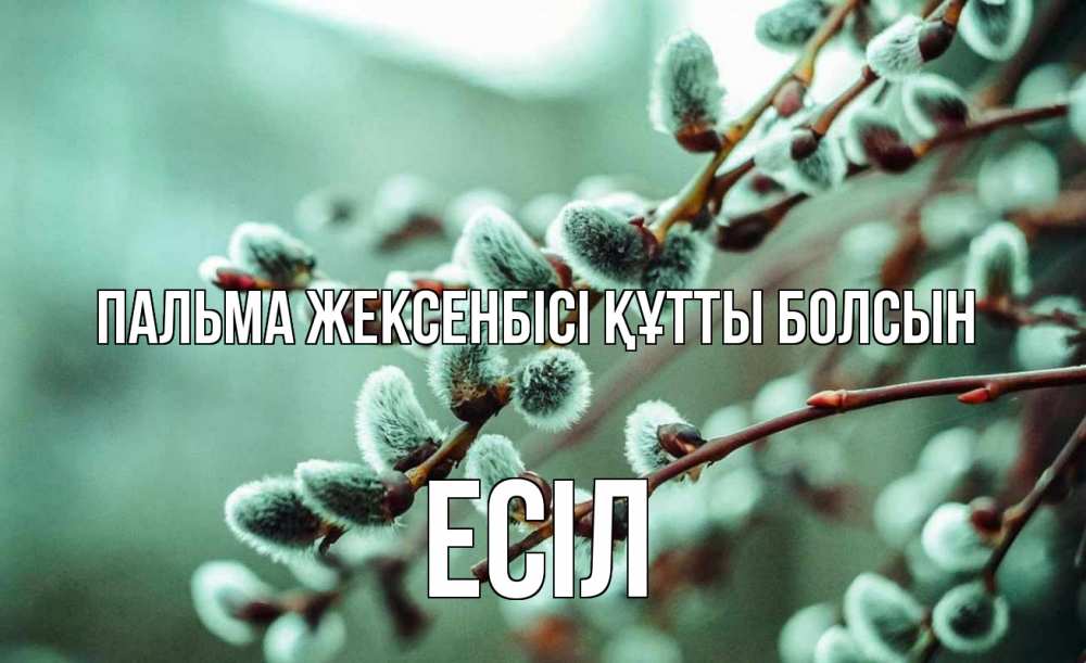 Күн сайын ашық хат с именем, Есіл Пальма жексенбісі құтты болсын верба Онлайн тегін жүктеп алу тілектері бар керемет карта 
