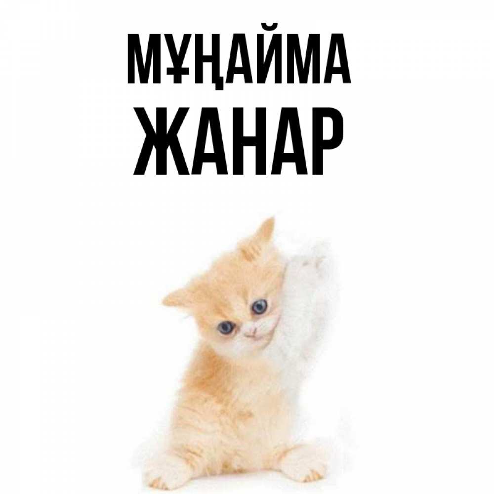 Күн сайын ашық хат с именем, ЖАНАР Мұңайма просящий кот Онлайн тегін жүктеп алу тілектері бар керемет карта 