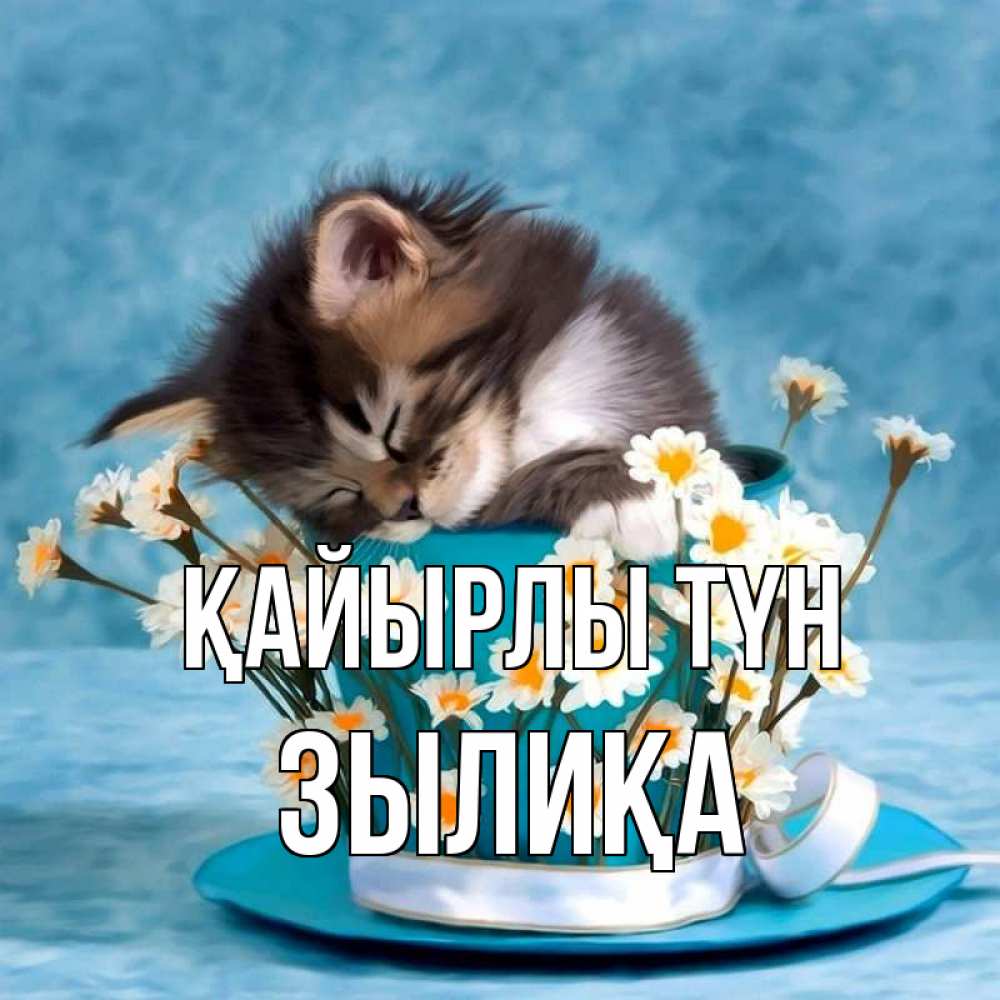 Күн сайын ашық хат с именем, ЗЫЛИҚА Қайырлы түн котенок спит в кружке с блюдцем Онлайн тегін жүктеп алу тілектері бар керемет карта 
