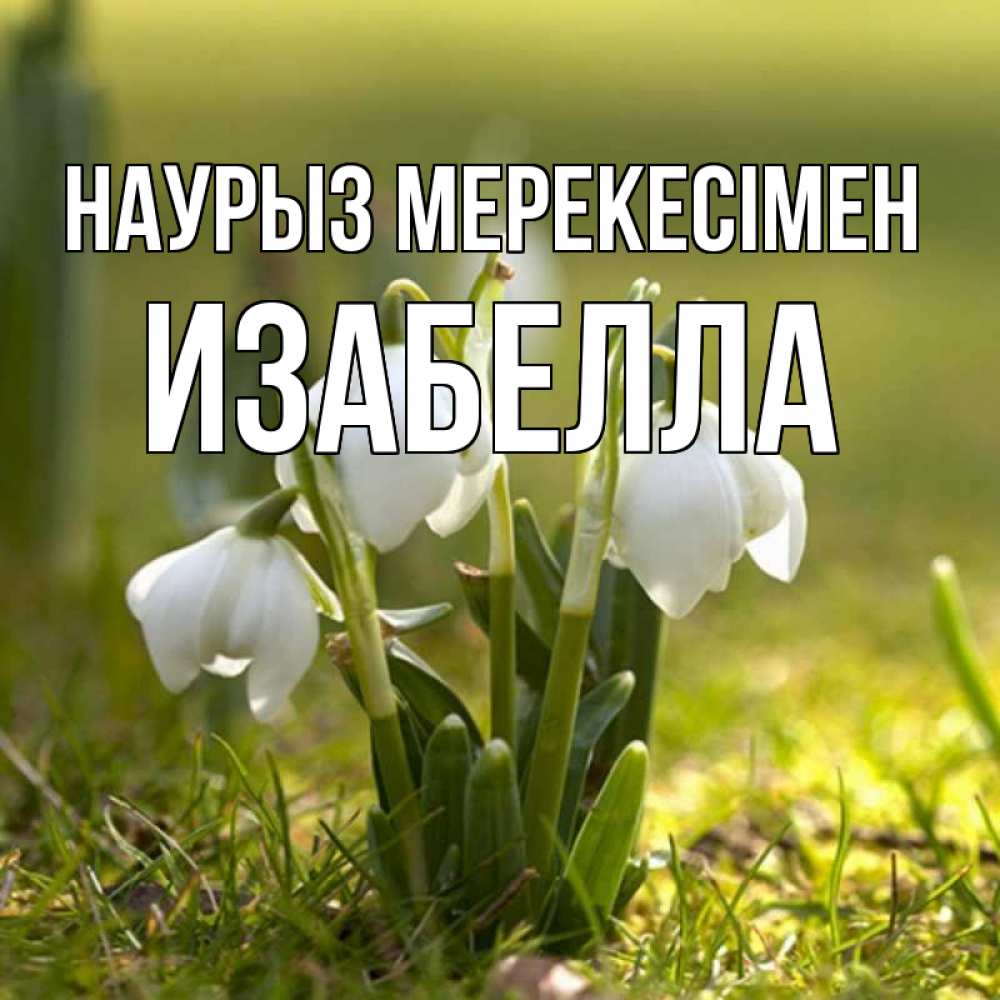 Күн сайын ашық хат с именем, Изабелла Наурыз мерекесімен ранние цветы 2 Онлайн тегін жүктеп алу тілектері бар керемет карта 