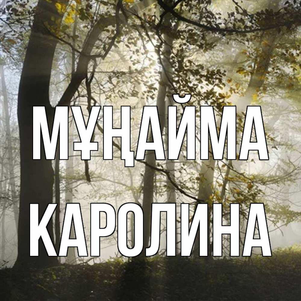 Күн сайын ашық хат с именем, Каролина Мұңайма лес и свет Онлайн тегін жүктеп алу тілектері бар керемет карта 