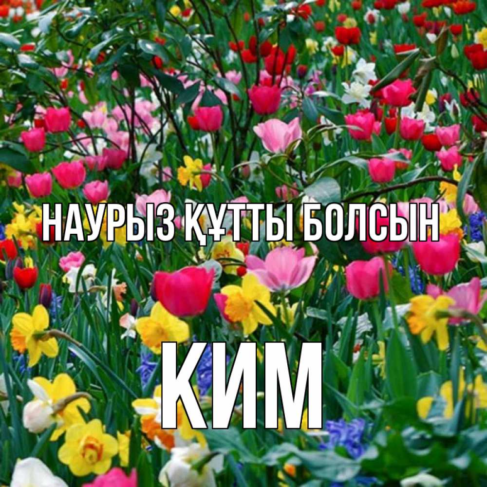Күн сайын ашық хат с именем, Ким Наурыз құтты болсын с наурызом поздравления для женщины Онлайн тегін жүктеп алу тілектері бар керемет карта 