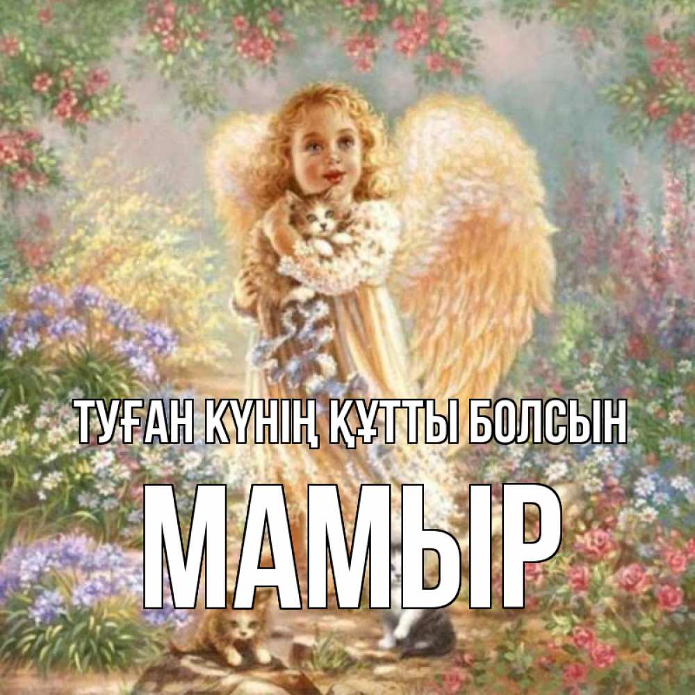 Күн сайын ашық хат с именем, МАМЫР Туған күнің құтты болсын держит котенка Онлайн тегін жүктеп алу тілектері бар керемет карта 