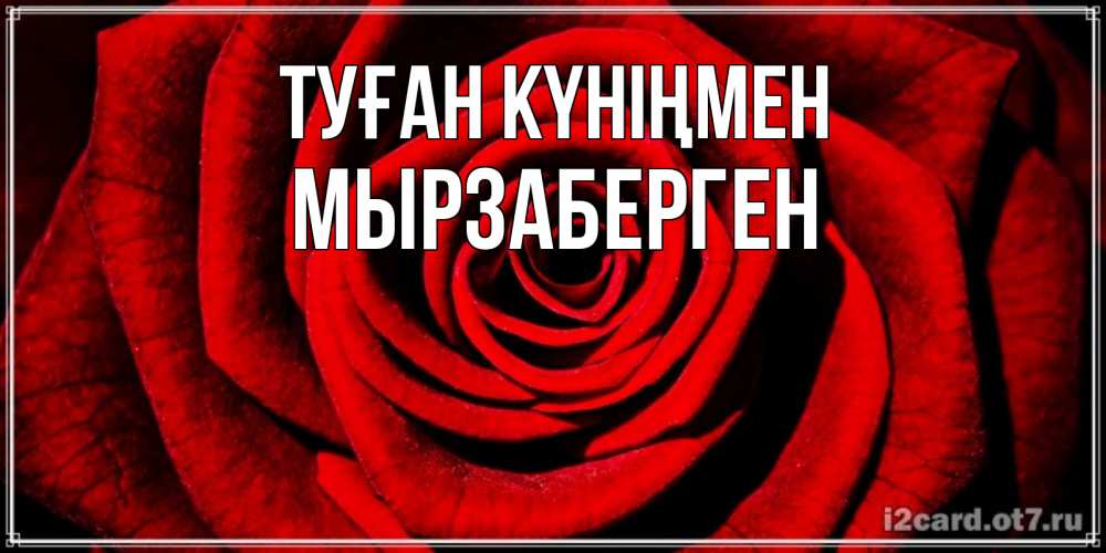 Күн сайын ашық хат с именем, Мырзаберген Туған күніңмен алая роза Онлайн тегін жүктеп алу тілектері бар керемет карта 