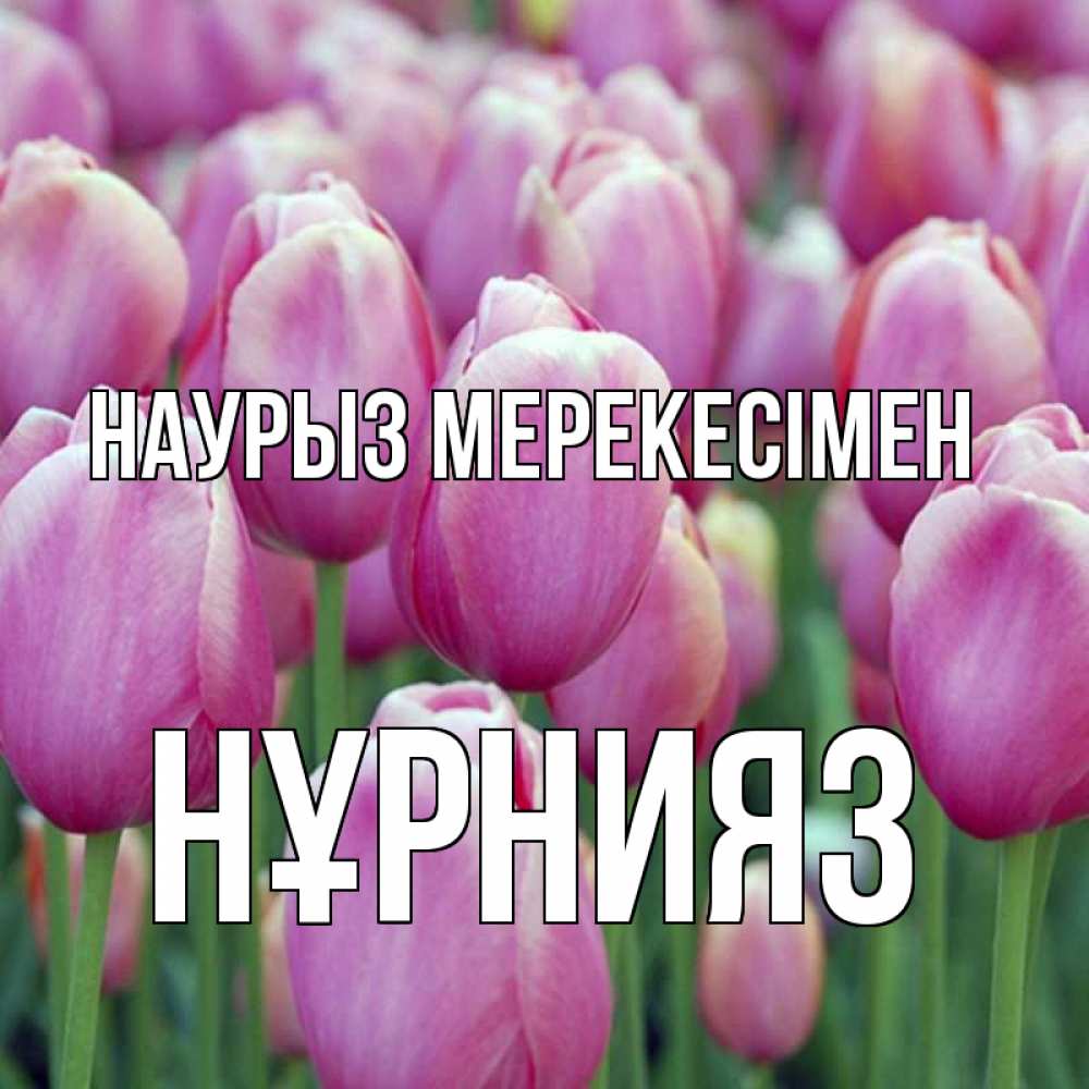 Күн сайын ашық хат с именем, НҰРНИЯЗ Наурыз мерекесімен праздник весны наурыз 69 Онлайн тегін жүктеп алу тілектері бар керемет карта 