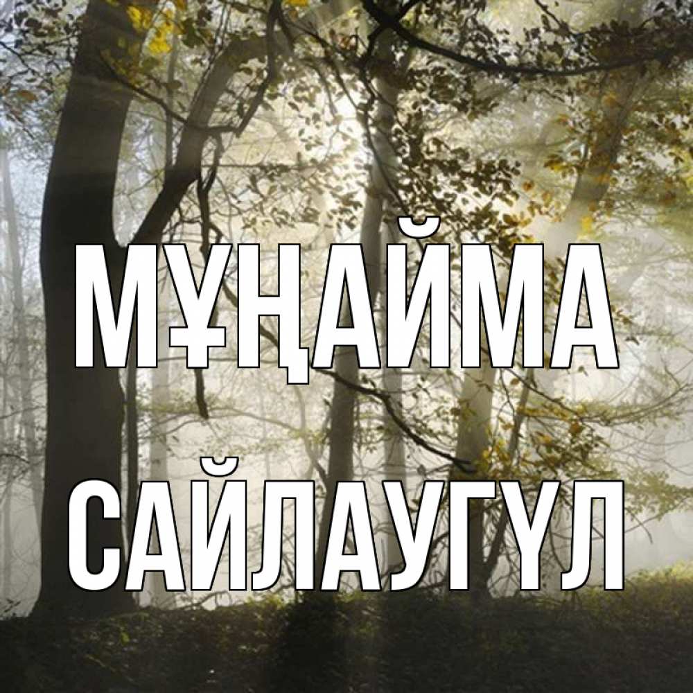 Күн сайын ашық хат с именем, САЙЛАУГҮЛ Мұңайма лес и свет Онлайн тегін жүктеп алу тілектері бар керемет карта 