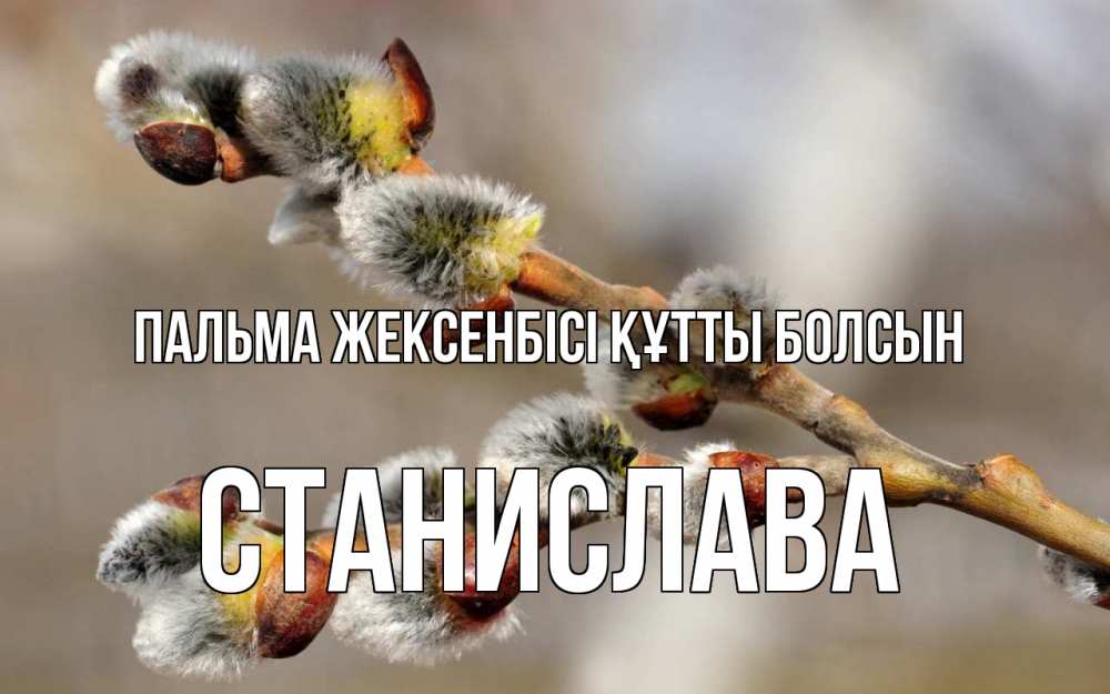 Күн сайын ашық хат с именем, Станислава Пальма жексенбісі құтты болсын Верба Онлайн тегін жүктеп алу тілектері бар керемет карта 