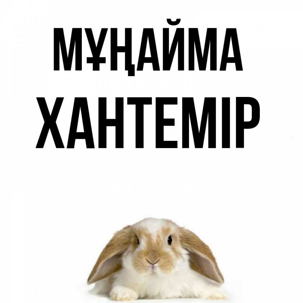 Күн сайын ашық хат с именем, ХАНТЕМІР Мұңайма коричнево белый заяц с большими ушками Онлайн тегін жүктеп алу тілектері бар керемет карта 