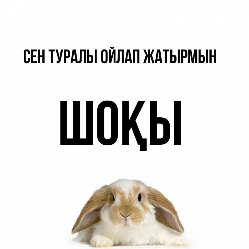 Күн сайын ашық хат с именем, ШОҚЫ Сен туралы ойлап жатырмын подписать своими руками онлайн Онлайн тегін жүктеп алу тілектері бар керемет карта 