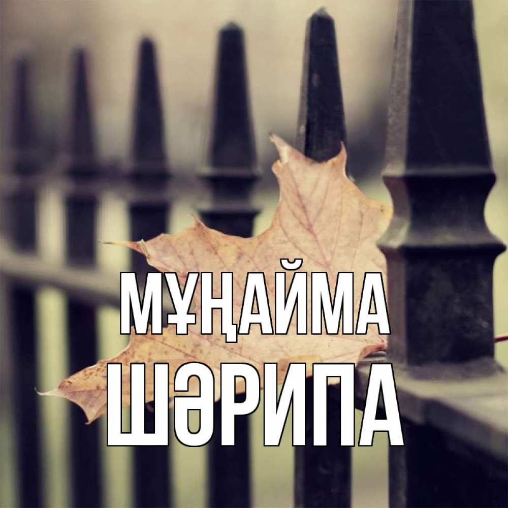 Күн сайын ашық хат с именем, ШӘРИПА Мұңайма лист клена Онлайн тегін жүктеп алу тілектері бар керемет карта 