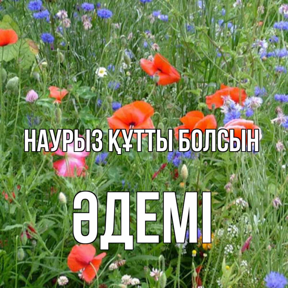 Күн сайын ашық хат с именем, ӘДЕМІ Наурыз құтты болсын наурыз  4 Онлайн тегін жүктеп алу тілектері бар керемет карта 