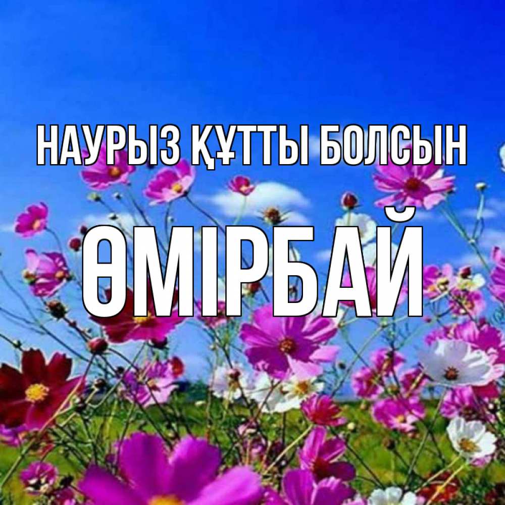 Күн сайын ашық хат с именем, ӨМІРБАЙ Наурыз құтты болсын цветы Онлайн тегін жүктеп алу тілектері бар керемет карта 