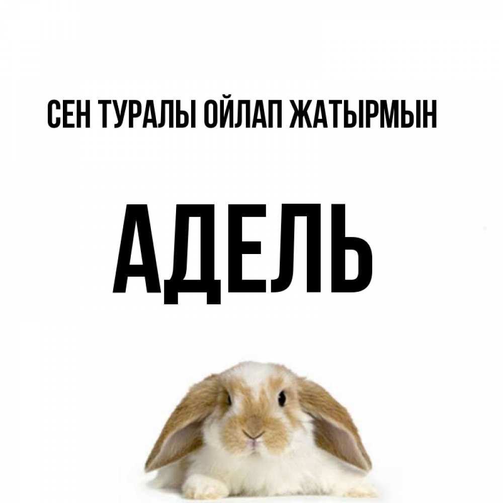 Күн сайын ашық хат с именем, Адель Сен туралы ойлап жатырмын подписать своими руками онлайн Онлайн тегін жүктеп алу тілектері бар керемет карта 