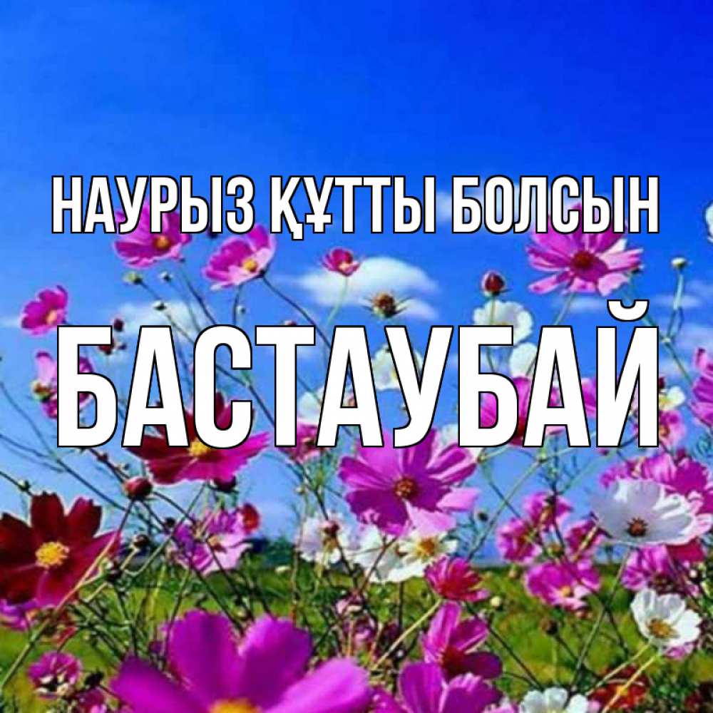 Күн сайын ашық хат с именем, Бастаубай Наурыз құтты болсын цветы Онлайн тегін жүктеп алу тілектері бар керемет карта 
