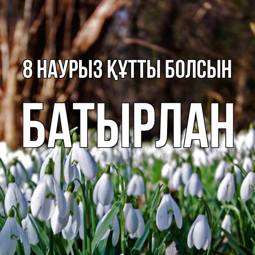Күн сайын ашық хат с именем, Батырлан 8 наурыз құтты болсын с подснежниками 1 Онлайн тегін жүктеп алу тілектері бар керемет карта 