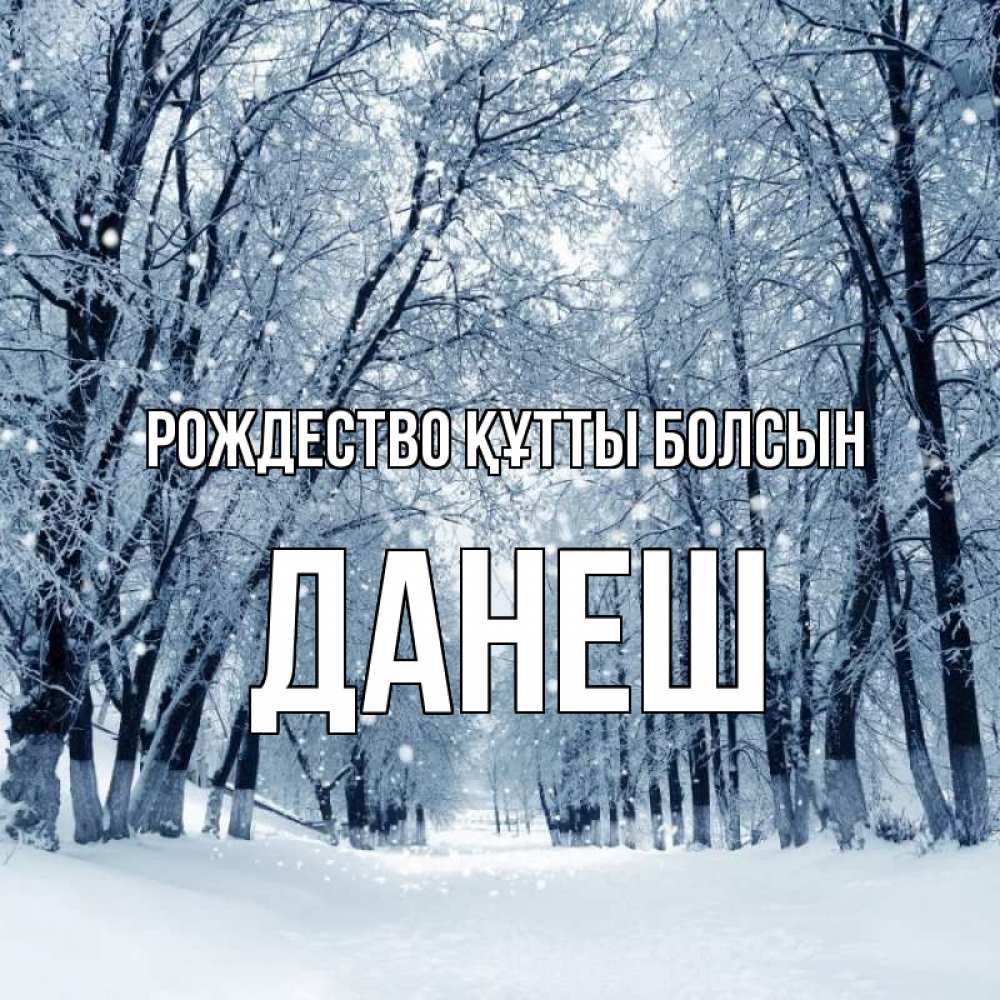 Күн сайын ашық хат с именем, ДАНЕШ Рождество құтты болсын снег, лес, парк Онлайн тегін жүктеп алу тілектері бар керемет карта 