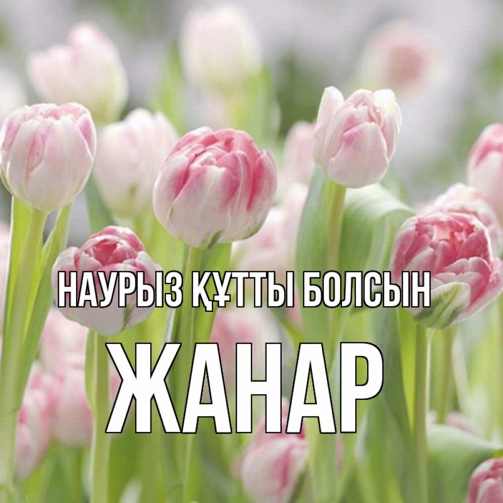 Күн сайын ашық хат с именем, ЖАНАР Наурыз құтты болсын цветы Онлайн тегін жүктеп алу тілектері бар керемет карта 