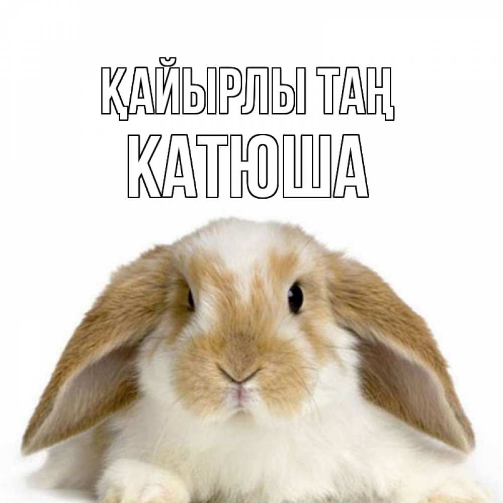 Күн сайын ашық хат с именем, Катюша Қайырлы таң прикольные открытки на каждый день Онлайн тегін жүктеп алу тілектері бар керемет карта 