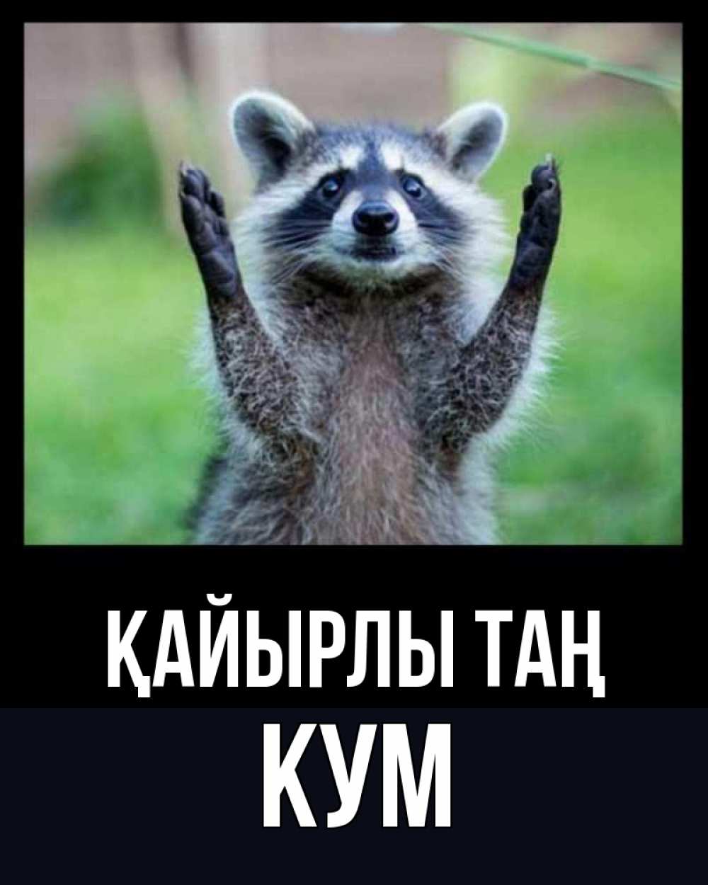 Күн сайын ашық хат с именем, Кум Қайырлы таң хорошее настроение утречком Онлайн тегін жүктеп алу тілектері бар керемет карта 