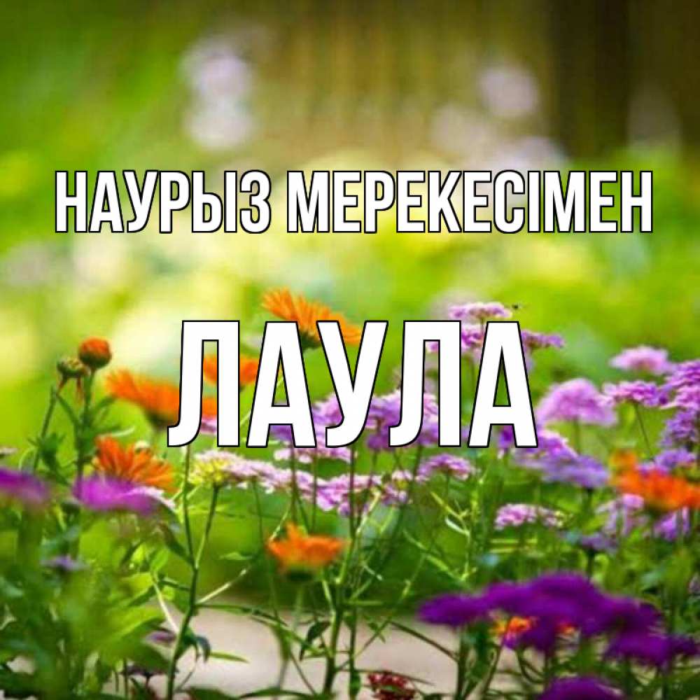 Күн сайын ашық хат с именем, ЛАУЛА Наурыз мерекесімен цветы Онлайн тегін жүктеп алу тілектері бар керемет карта 