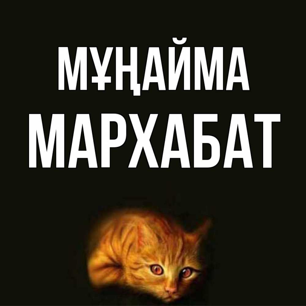 Күн сайын ашық хат с именем, МАРХАБАТ Мұңайма лежащий кот в темноте Онлайн тегін жүктеп алу тілектері бар керемет карта 