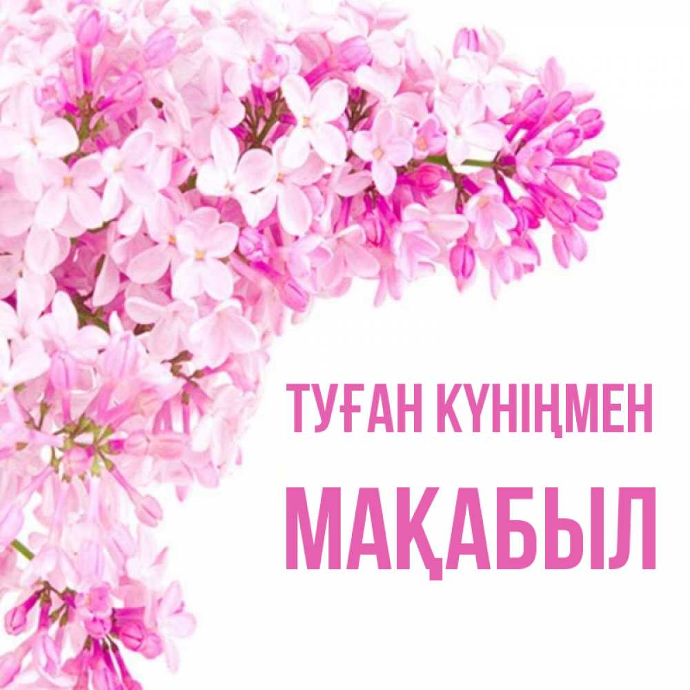 Күн сайын ашық хат с именем, МАҚАБЫЛ Туған күніңмен Сирень на белом фоне Онлайн тегін жүктеп алу тілектері бар керемет карта 