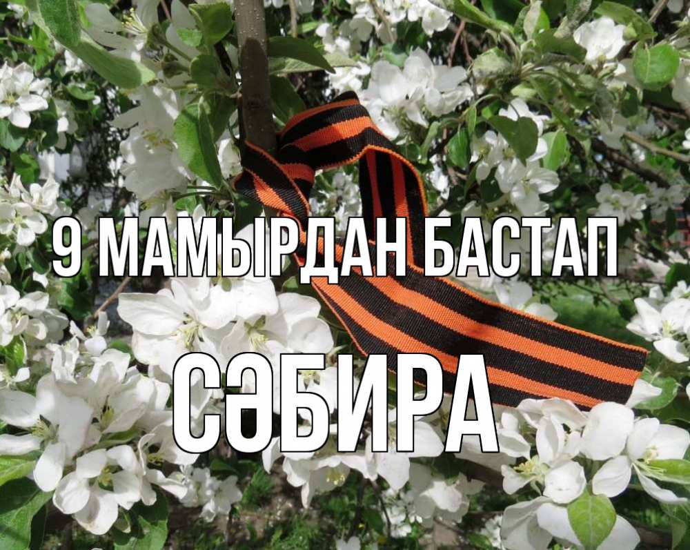 Күн сайын ашық хат с именем, СӘБИРА 9 мамырдан бастап 9 мая Онлайн тегін жүктеп алу тілектері бар керемет карта 