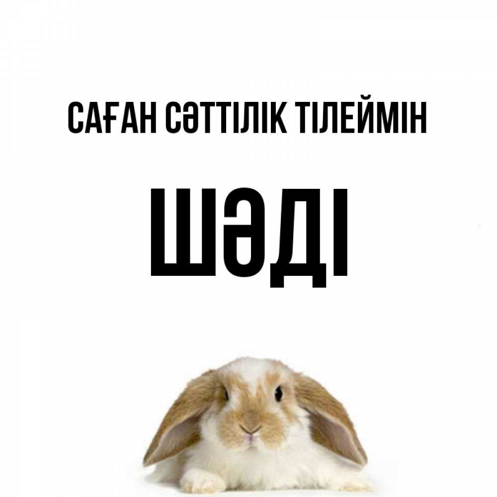 Күн сайын ашық хат с именем, ШӘДІ Саған сәттілік тілеймін открытки с произвольным текстом который можно вставить в открытку и создать ее самостоятельно бесплатно онлайн Онлайн тегін жүктеп алу тілектері бар керемет карта 