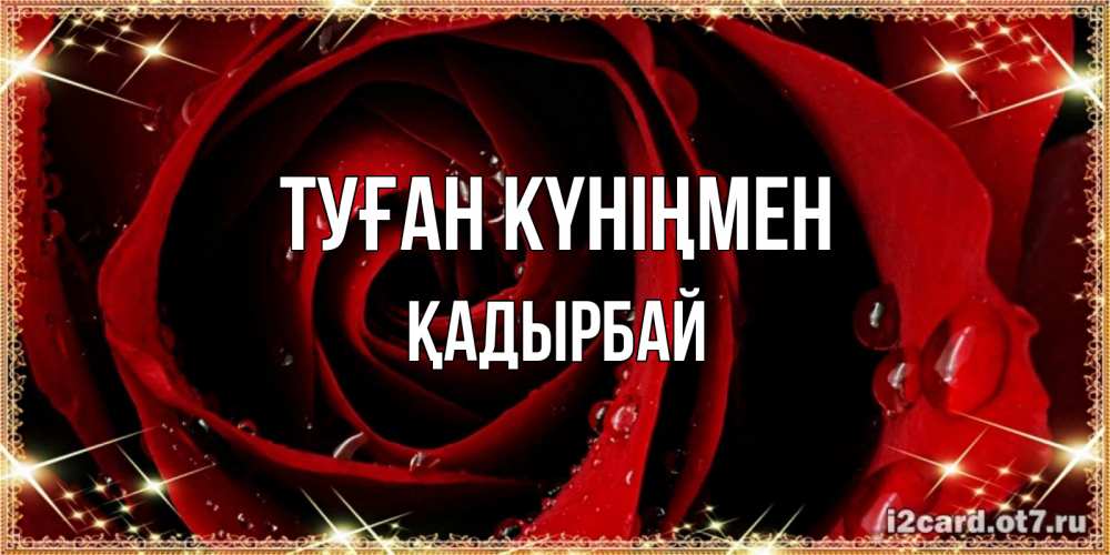 Күн сайын ашық хат с именем, Қадырбай Туған күніңмен цветок в росе на день рождения Онлайн тегін жүктеп алу тілектері бар керемет карта 