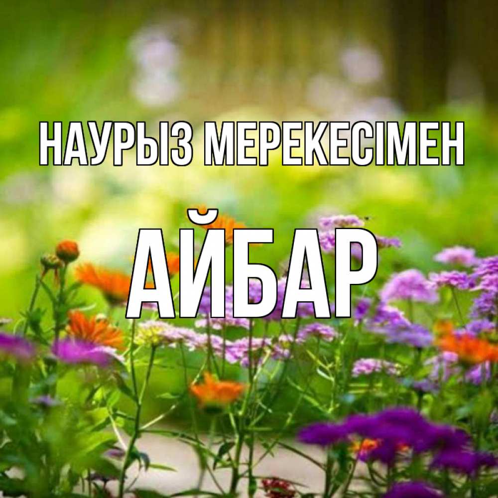 Күн сайын ашық хат с именем, Айбар Наурыз мерекесімен цветы Онлайн тегін жүктеп алу тілектері бар керемет карта 