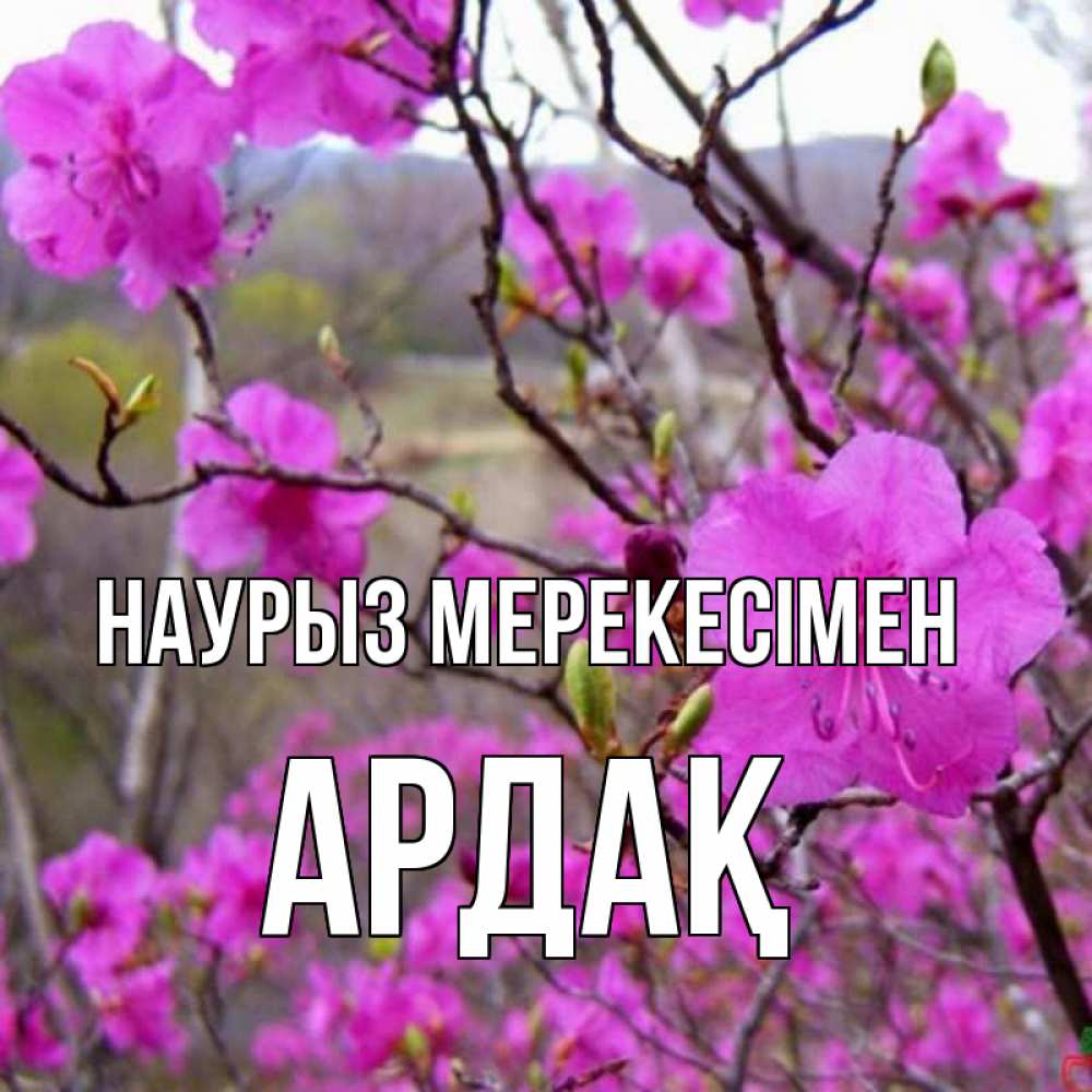 Күн сайын ашық хат с именем, Ардақ Наурыз мерекесімен праздник весны наурыз Онлайн тегін жүктеп алу тілектері бар керемет карта 