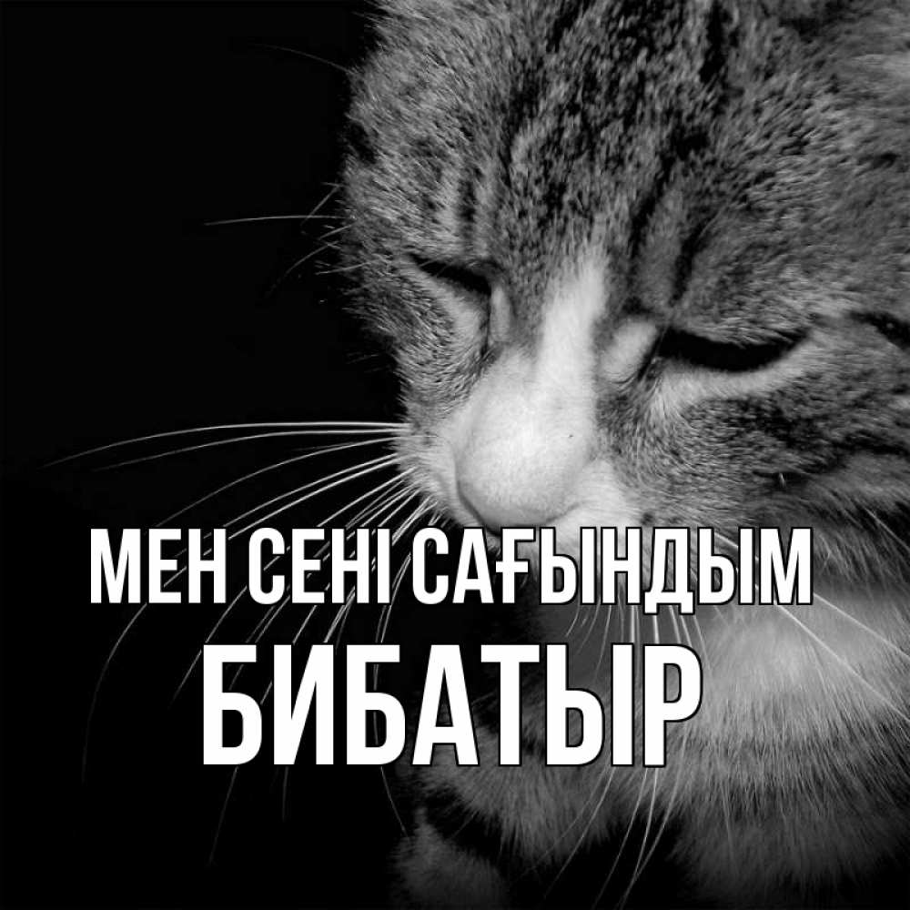 Күн сайын ашық хат с именем, Бибатыр Мен сені сағындым мне скучно Онлайн тегін жүктеп алу тілектері бар керемет карта 