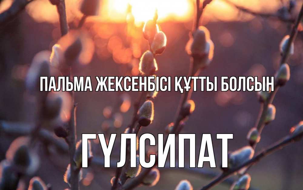 Күн сайын ашық хат с именем, ГҮЛСИПАТ Пальма жексенбісі құтты болсын верба Онлайн тегін жүктеп алу тілектері бар керемет карта 