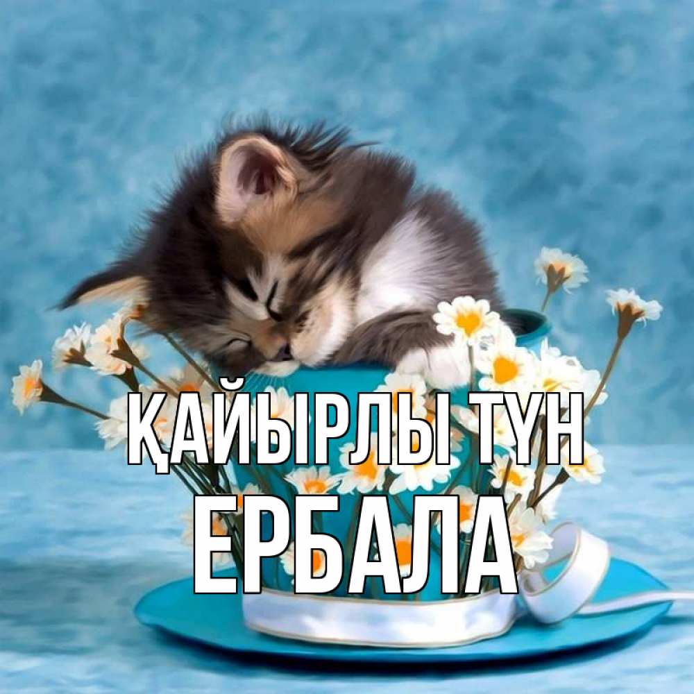 Күн сайын ашық хат с именем, Ербала Қайырлы түн котенок спит в кружке с блюдцем Онлайн тегін жүктеп алу тілектері бар керемет карта 