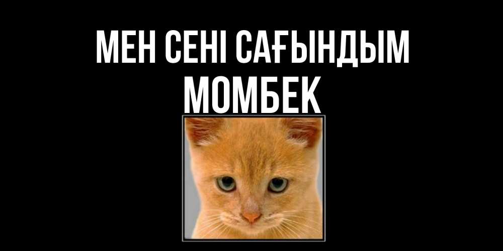 Күн сайын ашық хат с именем, МОМБЕК Мен сені сағындым открытки рыжий котенок скучает по тебе Онлайн тегін жүктеп алу тілектері бар керемет карта 