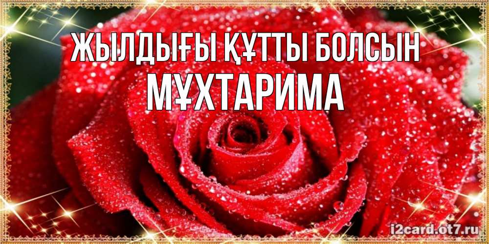 Күн сайын ашық хат с именем, МҰХТАРИМА Жылдығы құтты болсын роса и роза. открытка с красивой розой Онлайн тегін жүктеп алу тілектері бар керемет карта 