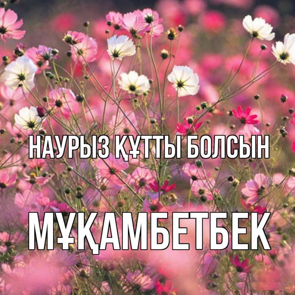 Күн сайын ашық хат с именем, Мұқамбетбек Наурыз құтты болсын красиво 1 Онлайн тегін жүктеп алу тілектері бар керемет карта 