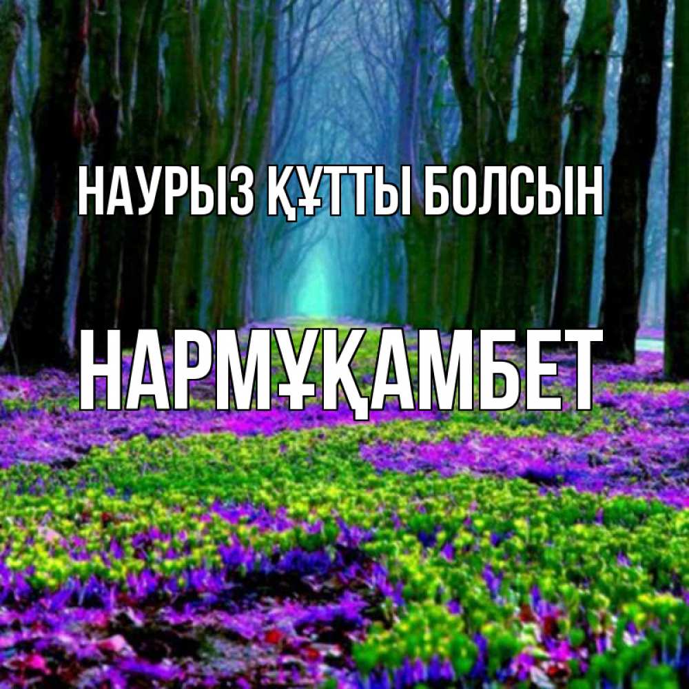 Күн сайын ашық хат с именем, НАРМҰҚАМБЕТ Наурыз құтты болсын фиолетовые цветы в лесу 1 Онлайн тегін жүктеп алу тілектері бар керемет карта 